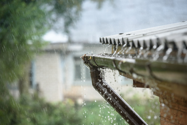 Récupération d’eau de pluie : un geste écoresponsable