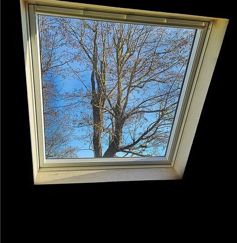 Fenêtre de toit : pourquoi choisir l’alu plutôt que le PVC ?