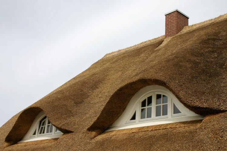 Optez pour l’esthétique rustique du chaume pour votre toiture