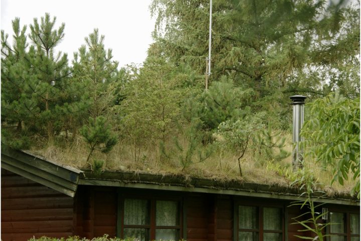 Isolation de la toiture verte : combinaison d’écologie et d’efficacité énergétique