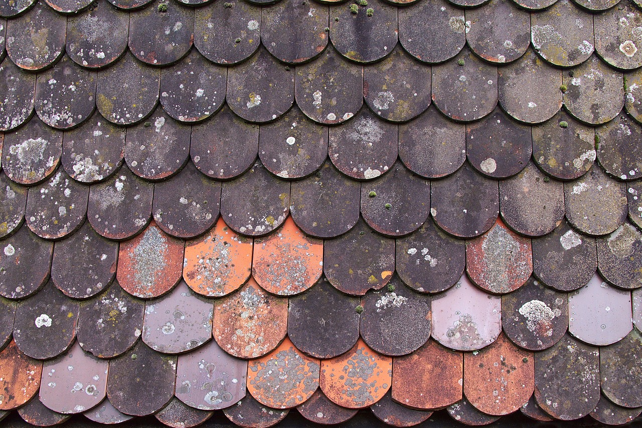 découvrez notre large sélection de tuiles de toiture de haute qualité adaptées à tous les styles de toit. profitez de solutions durables et esthétiques pour protéger et embellir votre maison.