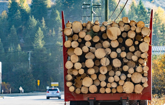 Sécurisation du chargement et freinage d&rsquo;urgence pour le transport de bois de chauffage