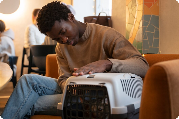 Bruit de fonctionnement anormal : ventilateur ou compresseur